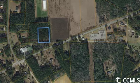Tbd Isaac Dr., Conway, SC 29526