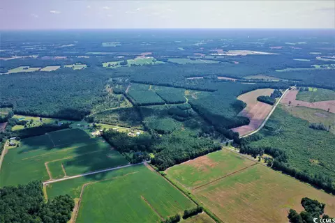 Tbd Old Manning Rd., Scranton, SC 29591 photo 5