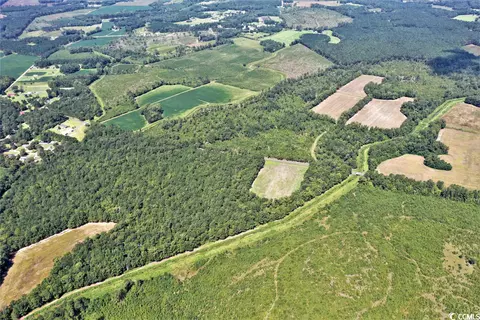 Tbd Old Manning Rd., Scranton, SC 29591 photo 9