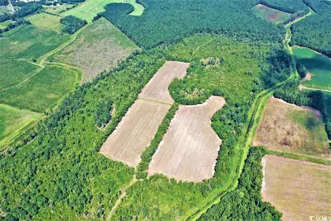 Tbd Old Manning Rd., Scranton, SC 29591 photo 4