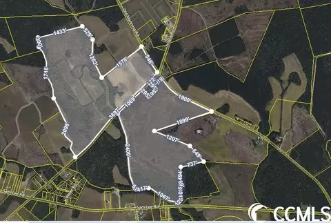 Tbd Old Manning Rd., Scranton, SC 29591