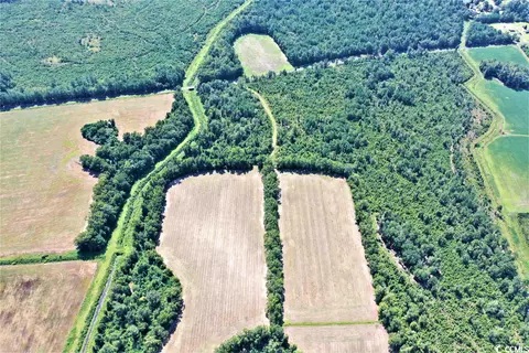 Tbd Old Manning Rd., Scranton, SC 29591 photo 3