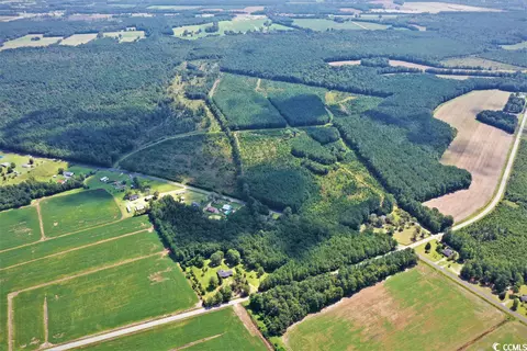 Tbd Old Manning Rd., Scranton, SC 29591 photo 6