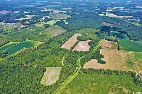 Tbd Old Manning Rd., Scranton, SC 29591 photo 8