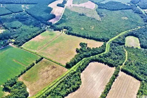 Tbd Old Manning Rd., Scranton, SC 29591 photo 2