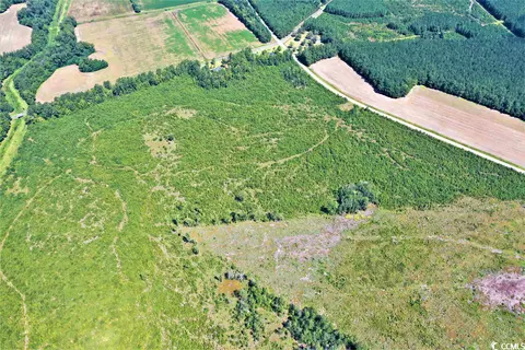 Tbd Old Manning Rd., Scranton, SC 29591 photo 10