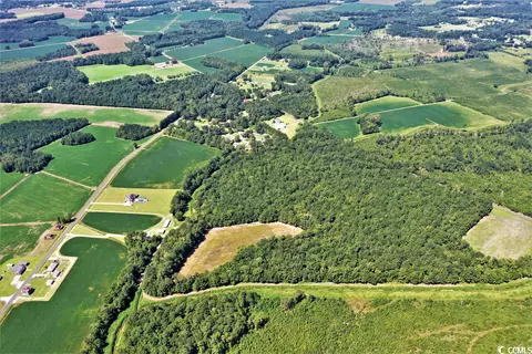Tbd Old Manning Rd., Scranton, SC 29591 photo 7