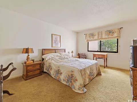 39 Mayrant Bluff Ln #52, Georgetown, SC 29440 photo 7