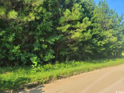 Tbd Powell Lane, Loris, SC 29569