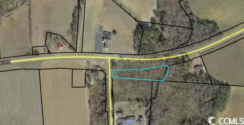 Tbd W Highway 378 Hannah, Pamplico, SC 29583