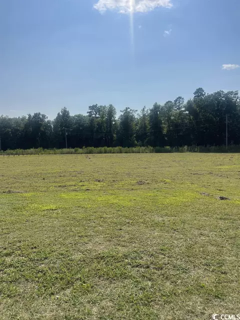 Tbd Fowler School Rd., Green Sea, SC 29545