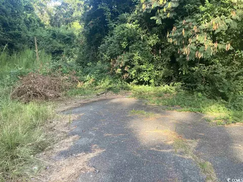 Tbd Steve Carmichael Rd., Hemingway, SC 29554 photo 4