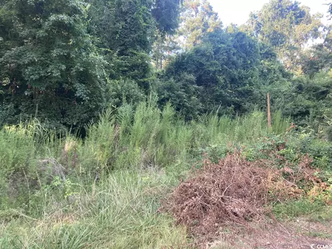 Tbd Steve Carmichael Rd., Hemingway, SC 29554 photo 2
