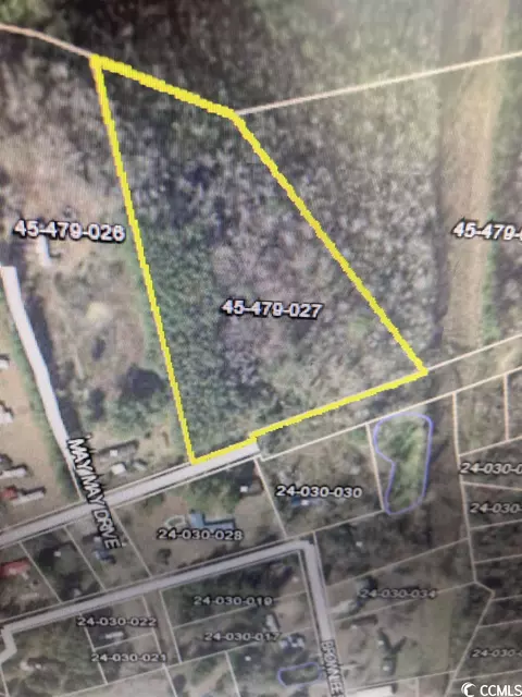 Tbd Steve Carmichael Rd., Hemingway, SC 29554