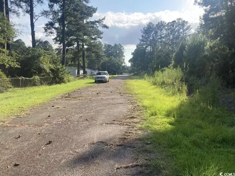 Tbd Steve Carmichael Rd., Hemingway, SC 29554 photo 3