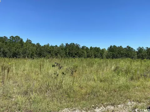 Powell Loop, Andrews, SC 29510