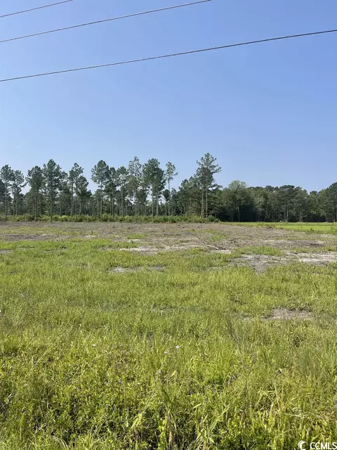 Tbd W Highway 19, Loris, SC 29569