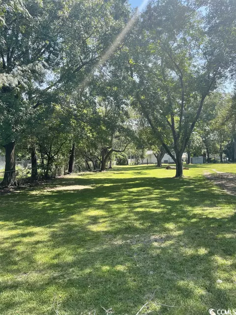Tbd North Congdon St., Georgetown, SC 29440