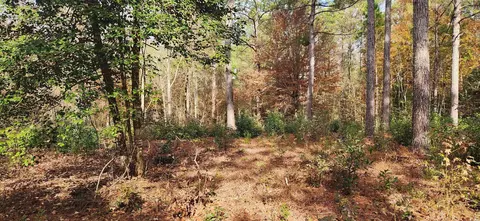 2747 Hagan Rd, Loris, SC 29569 photo 4