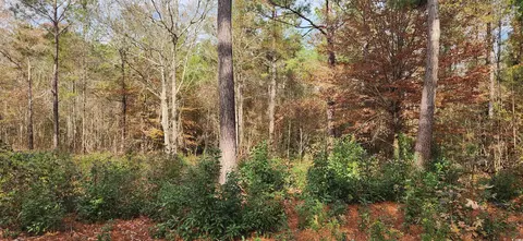 2747 Hagan Rd, Loris, SC 29569 photo 5