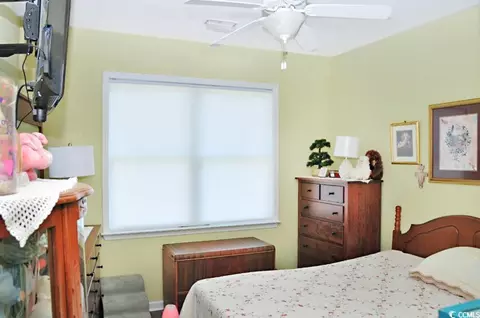3309 Daisy Rd, Loris, SC 29569 photo 19