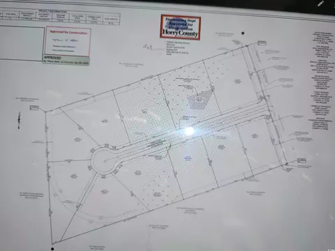 2224 Old Altman Rd, Conway, SC 29526