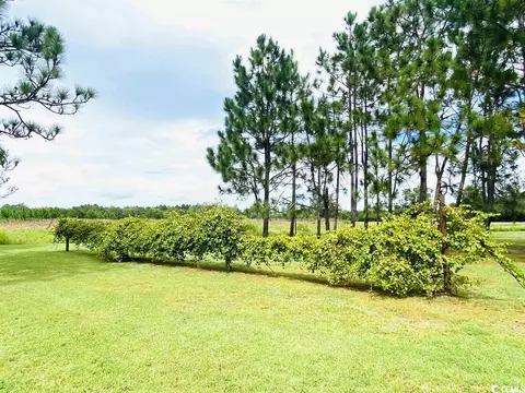 1721 Willard Rd, Hemingway, SC 29554 photo 21
