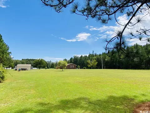 1721 Willard Rd, Hemingway, SC 29554 photo 20