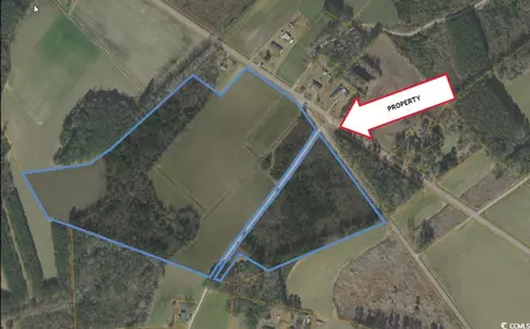 Tbd Hackett Dr., Nichols, SC 29581