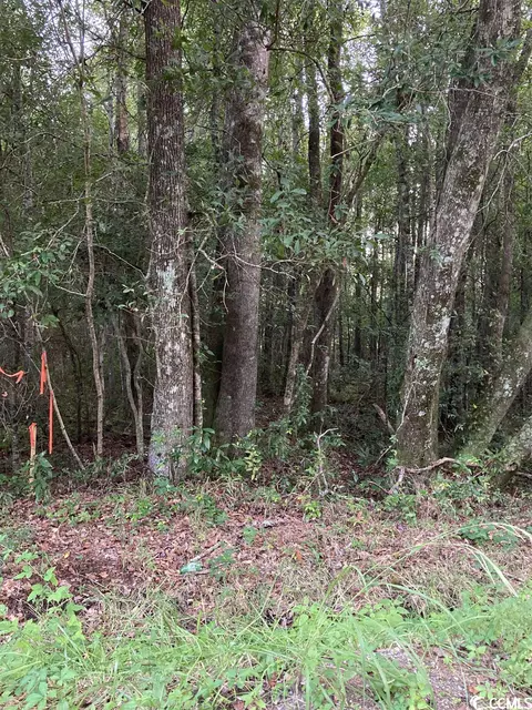 Tbd Ossie Ln., Conway, SC 29527