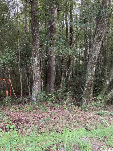 tbd Ossie Ln, Conway, SC 29527