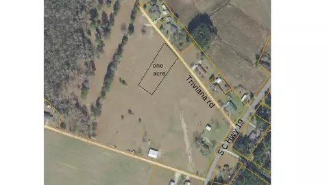Tbd Traviana Rd., Conway, SC 29526