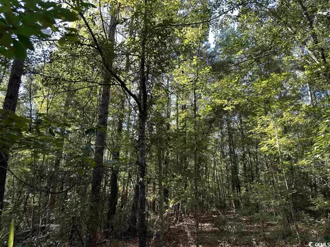 13144 Georgetown Hwy, Georgetown, SC 29440