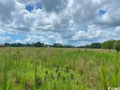 tbd Daisy Rd, Loris, SC 29569