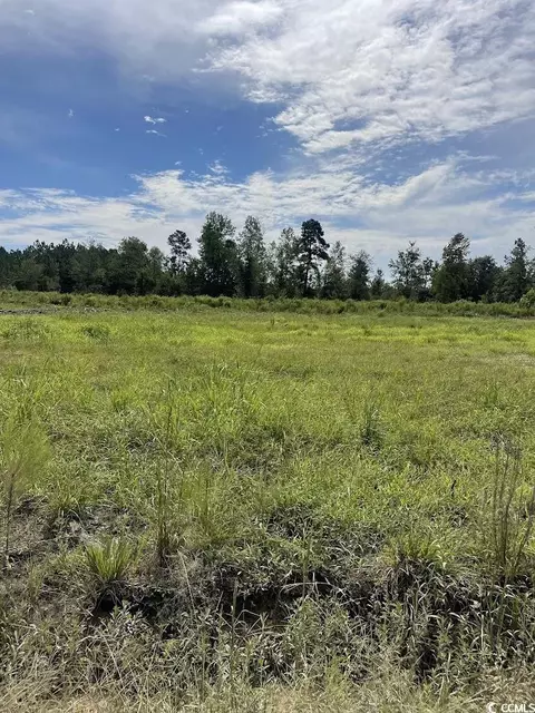 tbd Hardwick Rd, Conway, SC 29526 photo 3