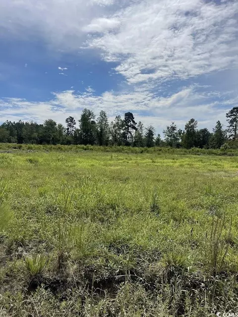 tbd Hardwick Rd, Conway, SC 29526 photo 2