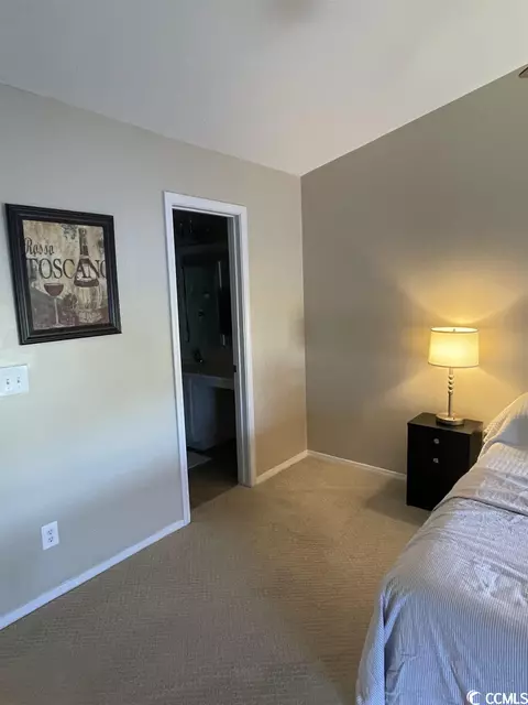 348 Kiskadee Loop #D, Conway, SC 29526 photo 21