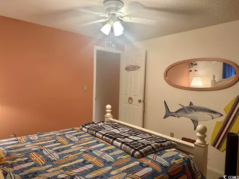 388 Sanddollar Dr, Surfside Beach, SC 29575 photo 11