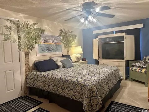 388 Sanddollar Dr, Surfside Beach, SC 29575 photo 18