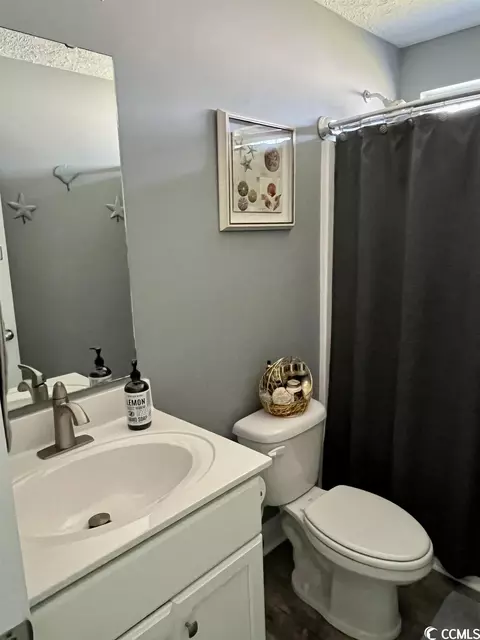 287 Turning Pines Loop, Myrtle Beach, SC 29579 photo 19
