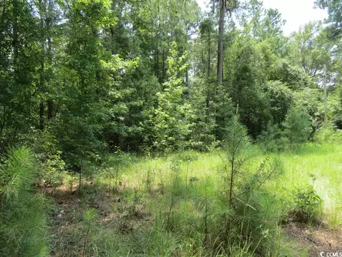 3213 Folly Grove Rd, Hemingway, SC 29554