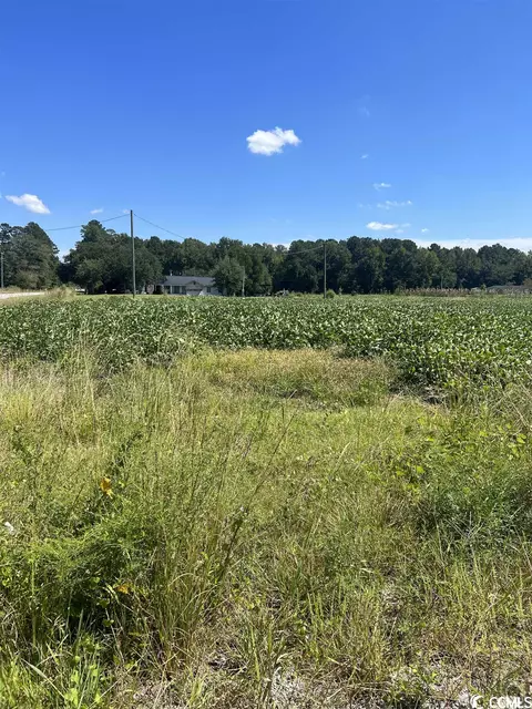 tbd Highway 917, Loris, SC 29569