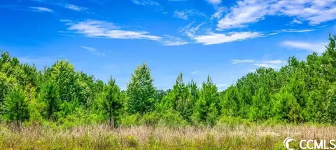 tbd Jasmine Rd, Loris, SC 29569 photo 2