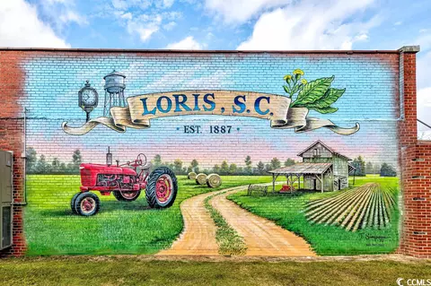 1851 Watts Rd, Loris, SC 29569 photo 26