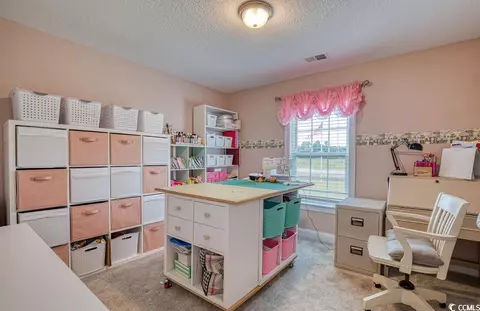 1711 Hewitt Rd, Loris, SC 29569 photo 22
