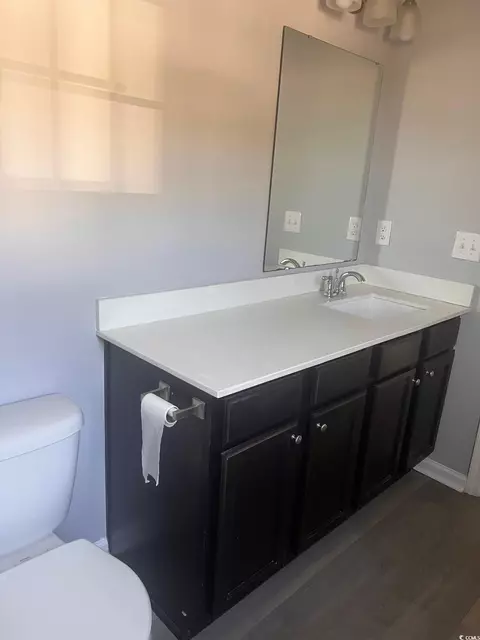 Bath - 219 Oak Leaf Dr, Longs, SC 29568 photo 6 of 7