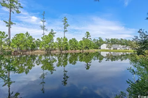 812 Wild Leaf Loop, Conway, SC 29526 photo 34