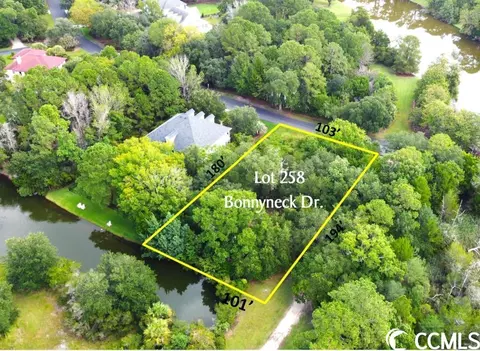 258 Bonnyneck Drive, Georgetown, SC 29440