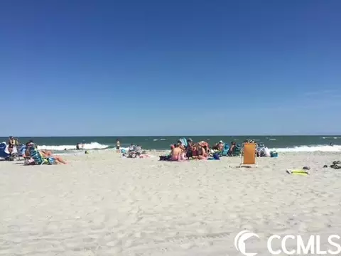1306 Manatee Ct, Surfside Beach, SC 29575 photo 32