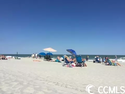 1306 Manatee Ct, Surfside Beach, SC 29575 photo 30